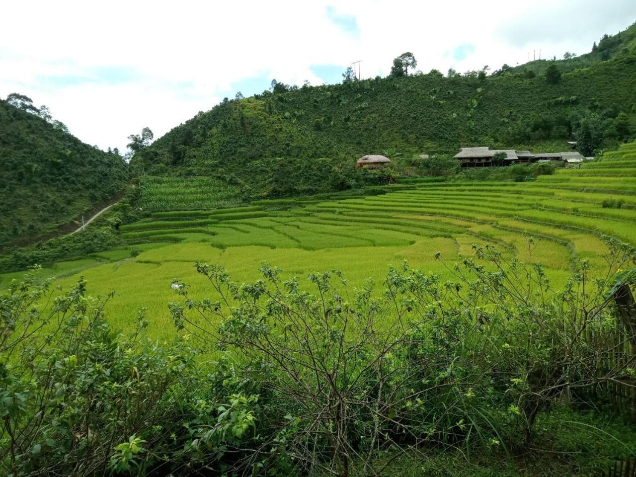 Bac Ha Charm Stay Exterior foto