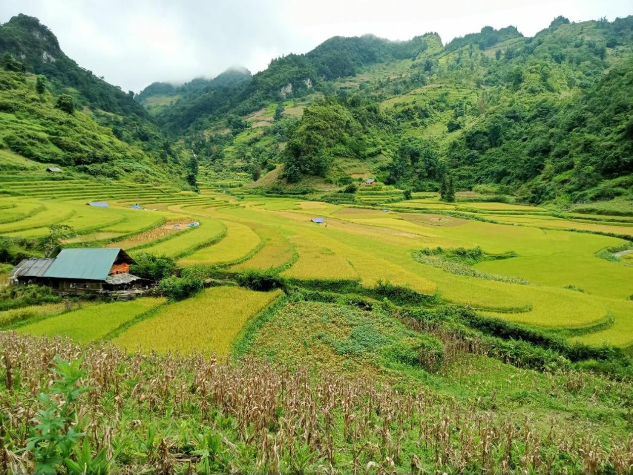 Bac Ha Charm Stay Exterior foto